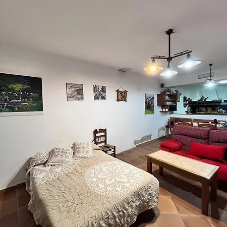 Basement With Barbecue And Patio * 론다