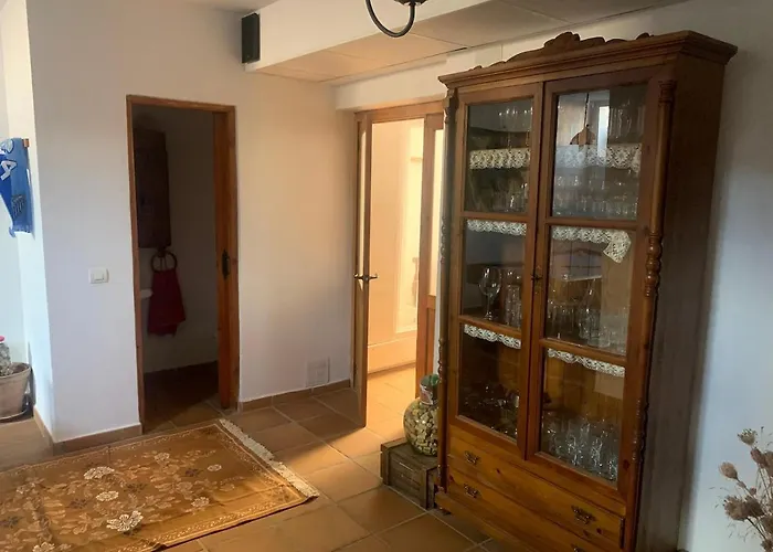 Basement With Barbecue And Patio Ferienhaus